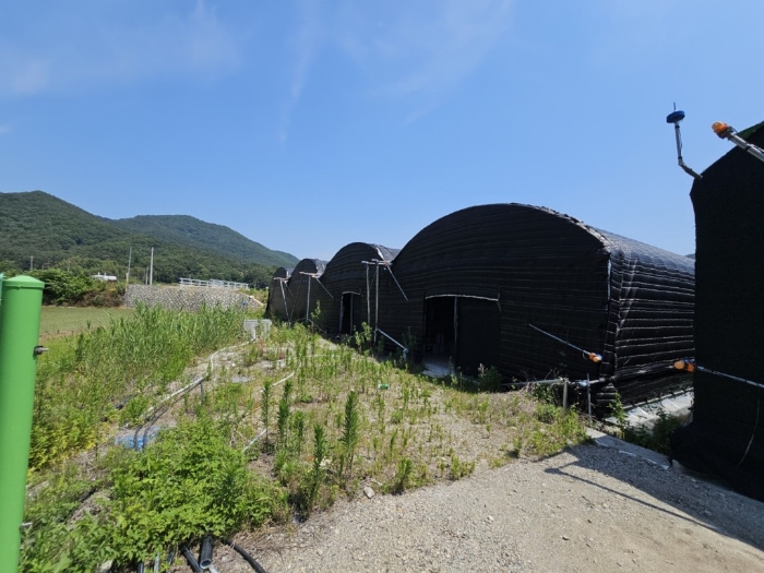 본건 토지[2] 전경