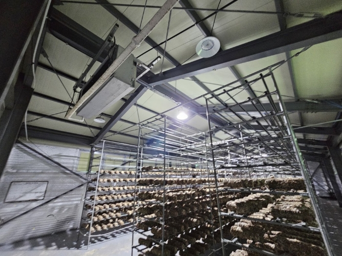 본건 건물 내부