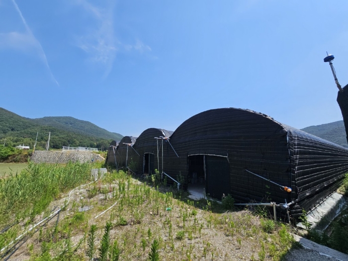 제시외건물[ㅅ]