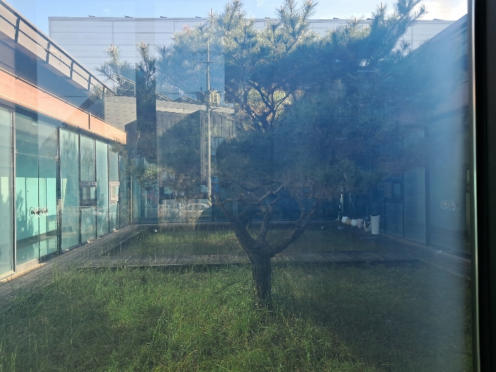 소나무 3(나)중정 소재