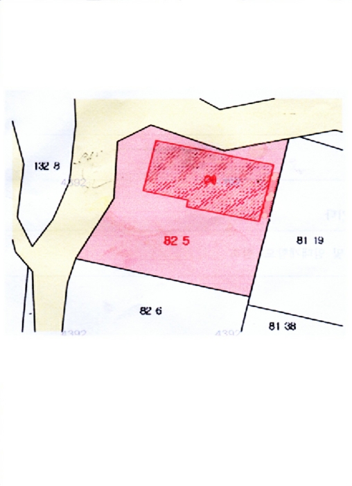 지적 및 건물개황도