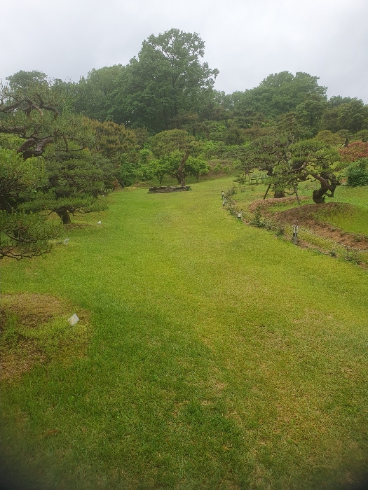 수목(산76-1 소재)