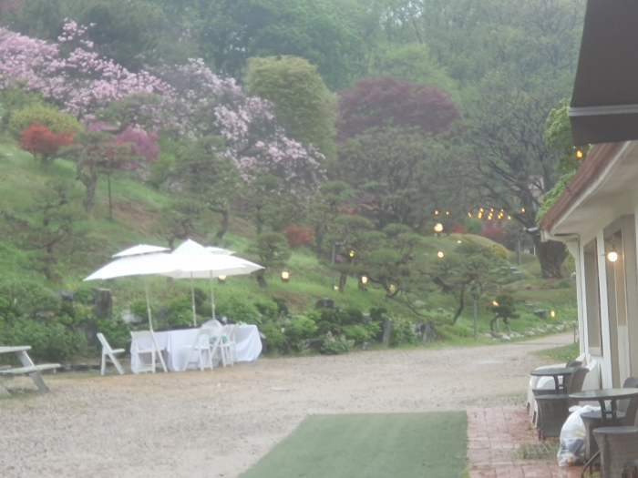 본건 임상(산75-5임 부근.