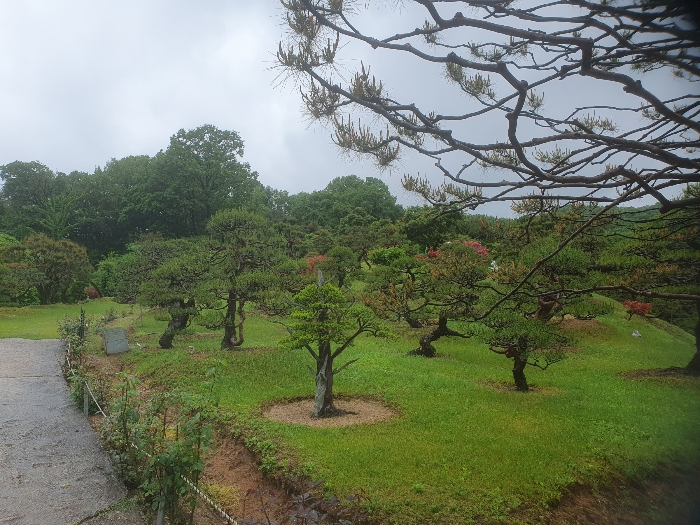 수목 (산76-1 소재)