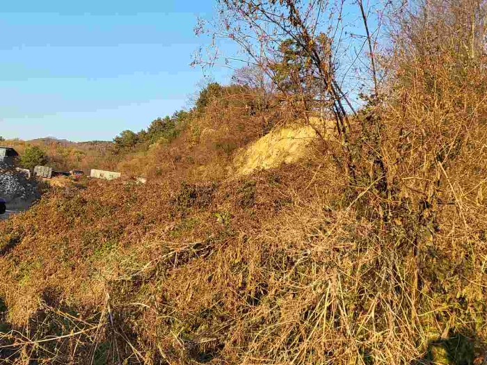 제시 목록 5 부동산 