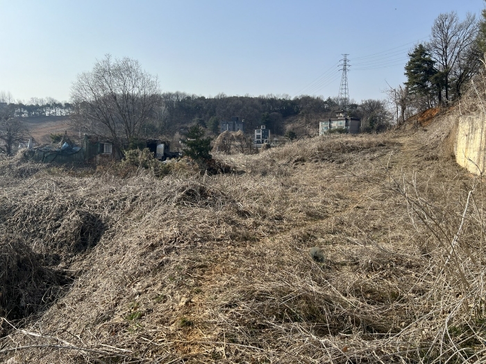 본건(남동측에서 촬영)