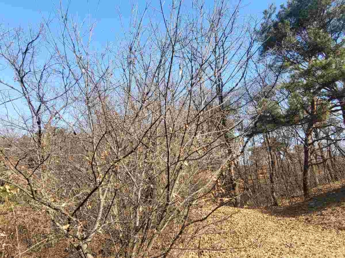 제시 목록 1 부동산