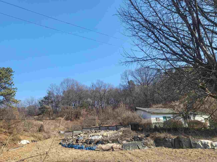 제시 목록 1 부동산 내 다른 지번 건물과 토지