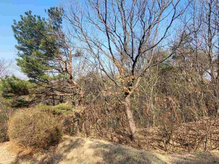 제시 목록 1 부동산