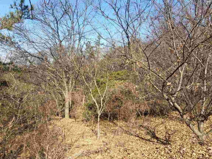 제시 목록 1 부동산