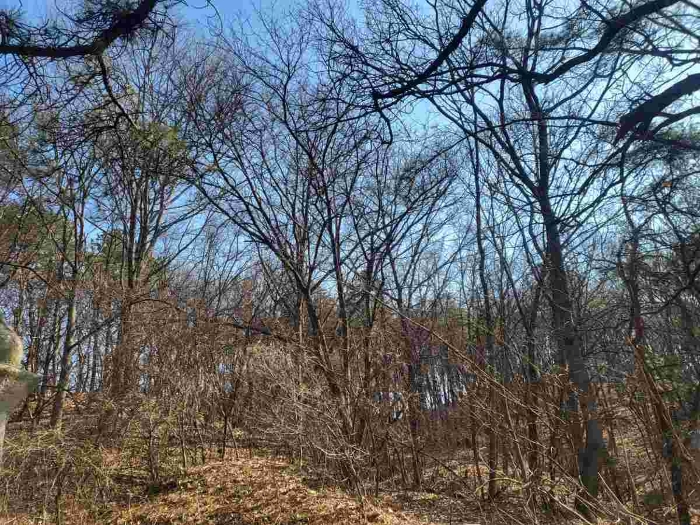 제시 목록 2 부동산