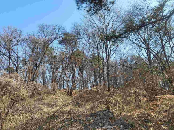 제시 목록 2 부동산