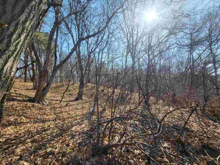 제시 목록 2 부동산