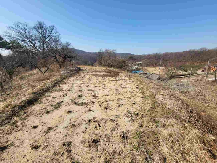 제시 목록 2 부동산(일부 밭)