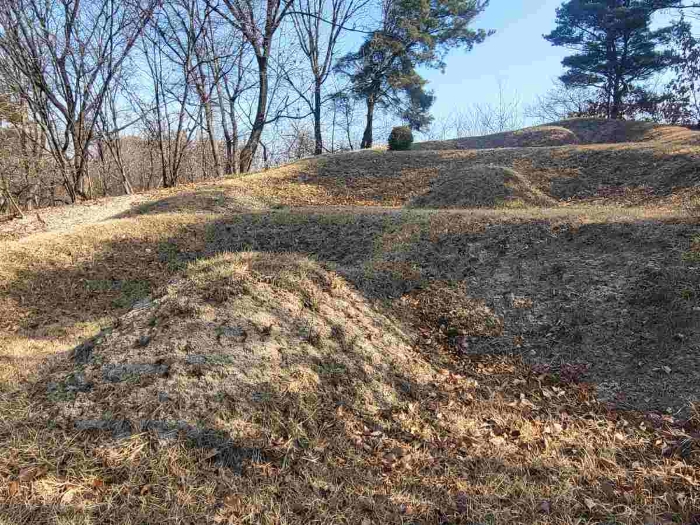 제시 목록 1 부동산(제시 외 분묘 3기)