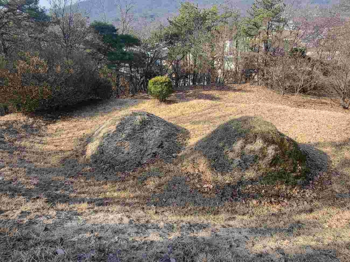 제시 목록 1 부동산(제시 외 분묘 2기)