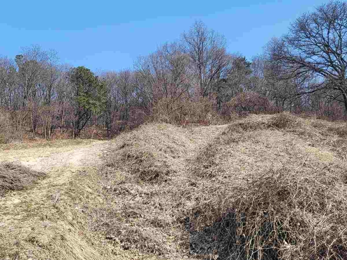 제시 목록 2 부동산(평탄한 땅)