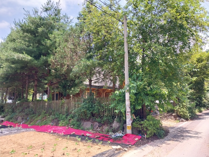 남서측에서 전경촬영