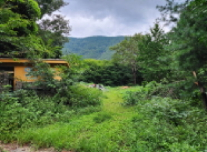 목록 7번~16번 건물 전체 전경.