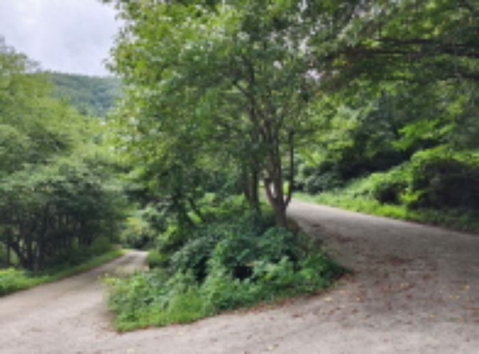 목록 7번~16번 건물 전체 전경.