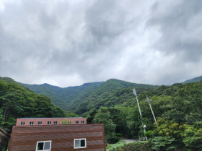 목록 5번 임야 전경.