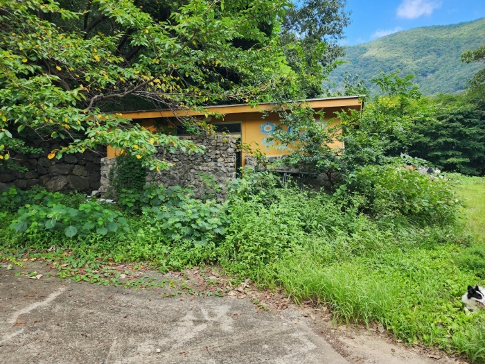 기호[8]나동 전경