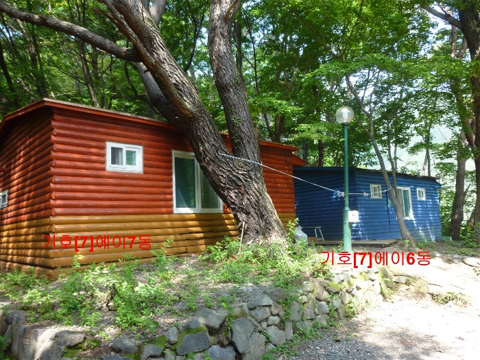 기호[7] 에이6동,에이7동 건물 전경