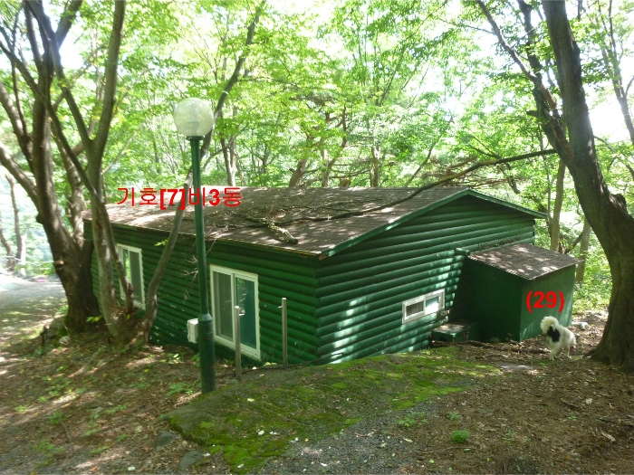 기호[7] 비3동 및 제시외건물(29) 전경