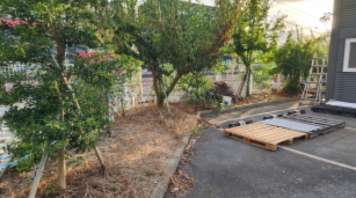 제시외 유실수.