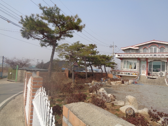 기호4-6 지상 수목 등