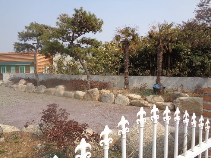 기호4,6 지상 수목 등