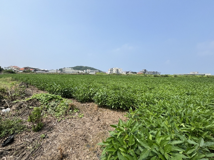 기호 3-5 남동측 전경