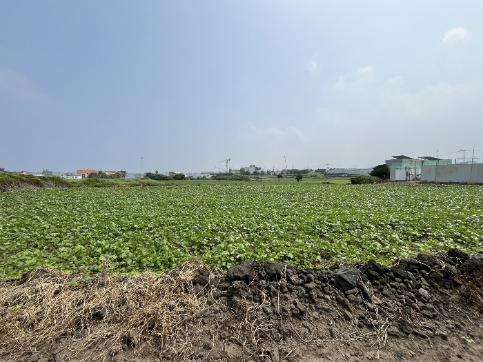 기호 2-5 서측 전경