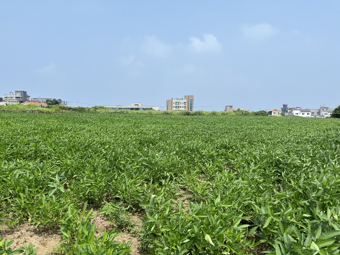 기호 3-5 남측 전경