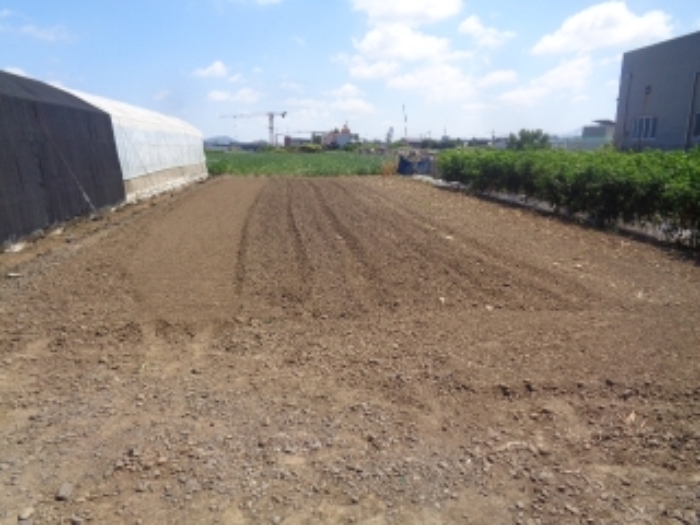 소재지1(도두일동 1700-6) 전경 사진