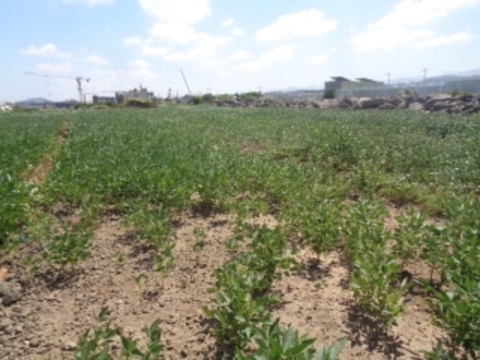 소재지1(도두일동 1700-6) 전경 사진