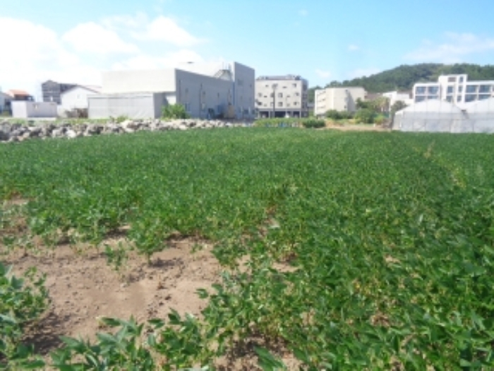 소재지1(도두일동 1700-6) 전경 사진