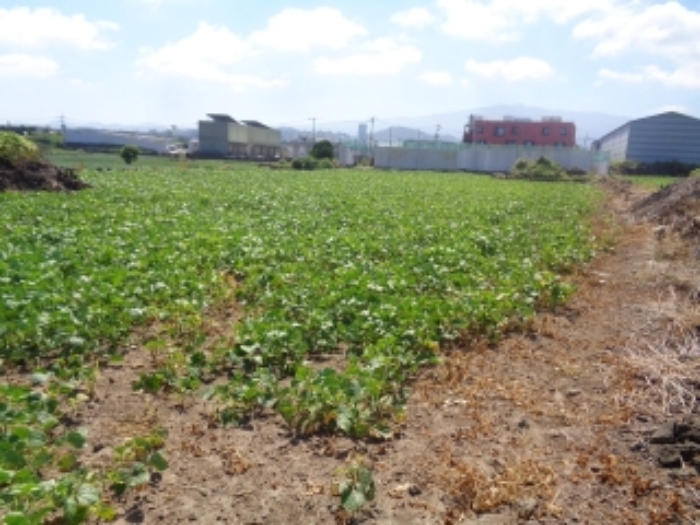 소재지2(도두일동 1696) 전경 사진