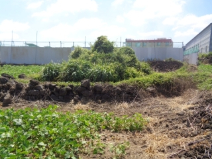 소재지2(도두일동 1696) 지상 제시외 분묘 사진