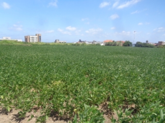 소재지3(도두일동 1695) 전경 사진