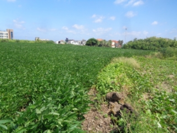 소재지3(도두일동 1695) 전경 사진