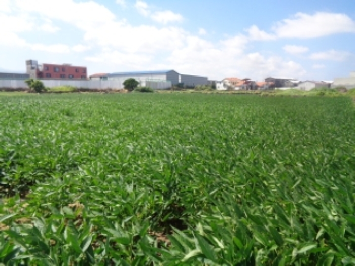 소재지4(도두일동 1695-1) 전경 사진