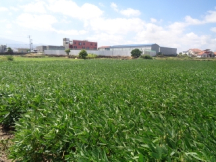 소재지5(도두일동 1695-2) 전경 사진