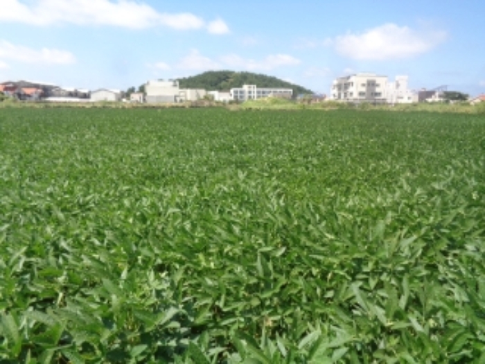 소재지5(도두일동 1695-2) 전경 사진