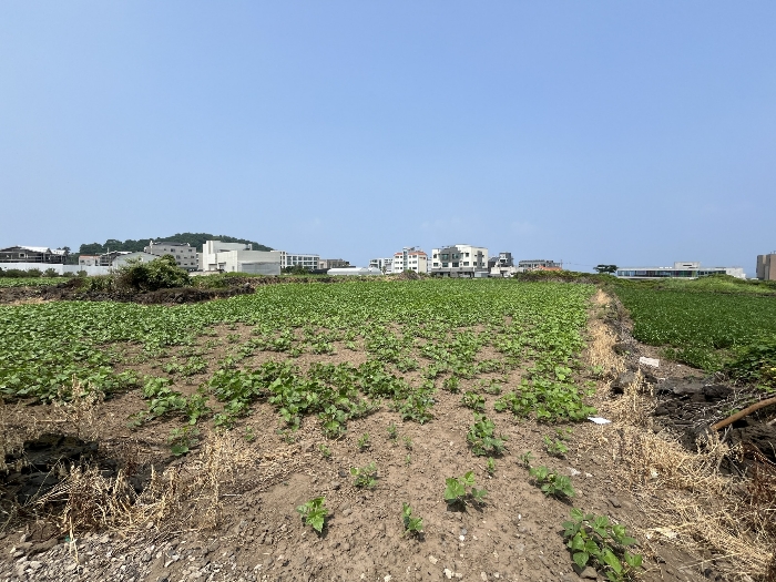 기호 2 남동측 전경