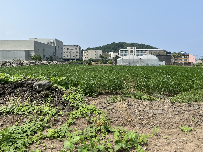 기호 1 동측 전경