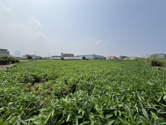 기호 3-5 북동측 전경