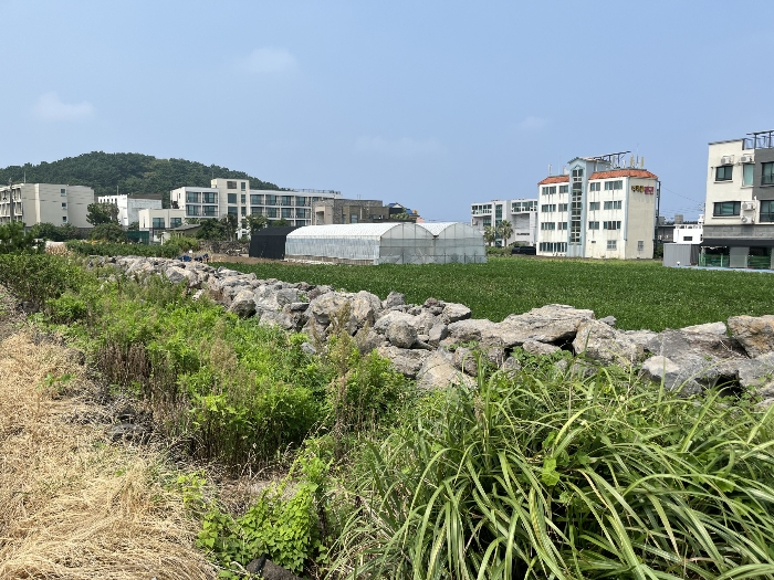 기호 1 남동측 전경 및 지상 대석