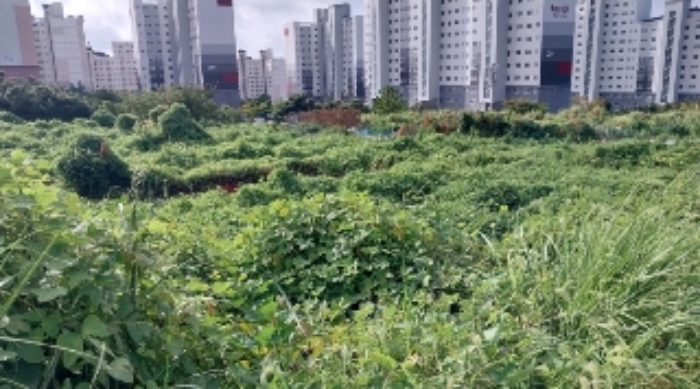 소재지1(서호동 1615-6) 전경1