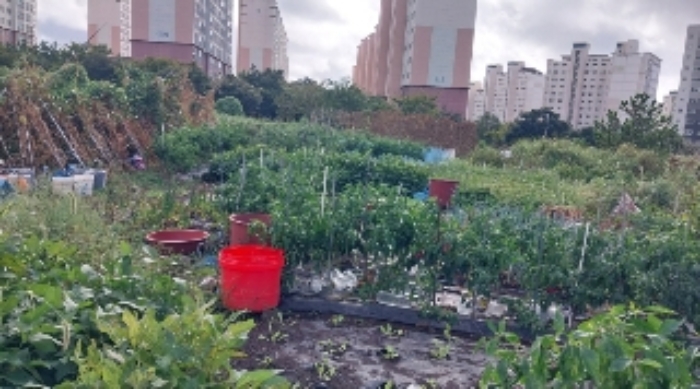 소재지1(서호동 1615-6) 전경2